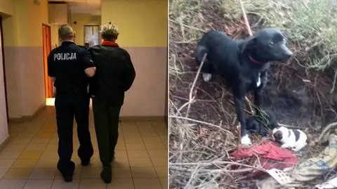 Lubliniec. Policja zatrzymała mężczyznę, który znęcał się nad psami