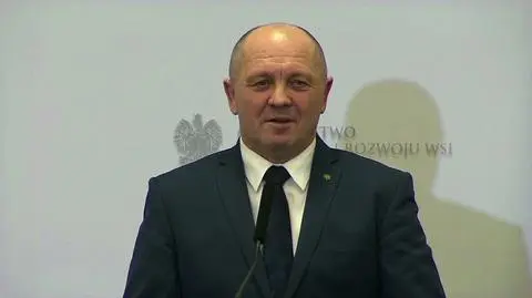 Problem pomoru świń zaszkodzi sile ministra Sawickiego?