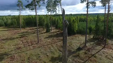 Jak wygląda odbudowa po kataklizmie?