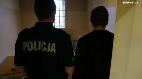 Bielsko-Biała. Zaatakował policjantów nożem, został aresztowany