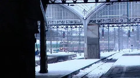 Polski strajk odczuli też Czesi
