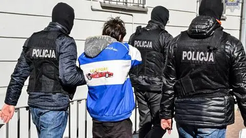Policjanci rozbili siatkę pedofilów
