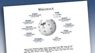 Przeanalizowano edycje milionów haseł z 10 wersji językowych Wikipedii
