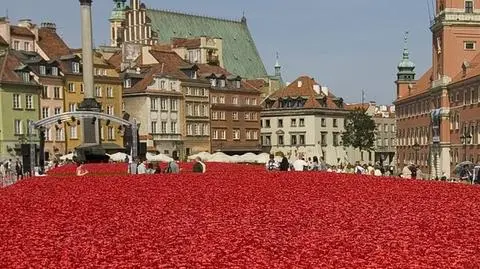 150 tysięcy maków na Placu Zamkowym