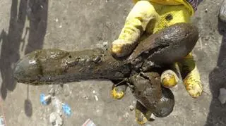 Nowe znalezisko w Gdańsku 