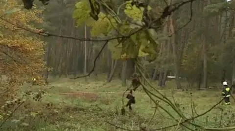 Komisja bada wrak helikoptera. Jedną z ofiar wypadku były radny Gorzowa