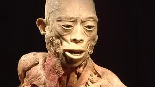 Kontrowersyjna wystawa „The Human Body” w Gdańsku