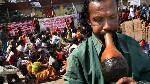 Występy  z wężami są w Indiach zakazane