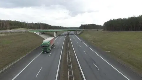 Trzebiszewo: Awionetka leciała nad samochodami