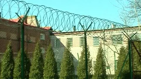 Za kratami w stanie wolnym