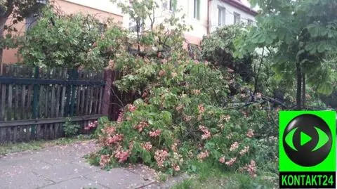 Po burzy nie mogą wyjść z domu. 
Drzewo runęło przed wejściem