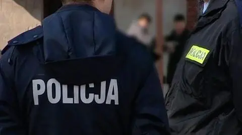 Śląscy policjanci rozbili gang złodziei