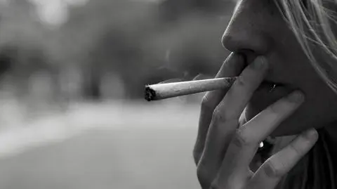 22 mln dorosłych Amerykanów zażywa marihuanę rekreacyjnie