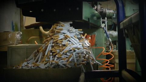 Poland is the largest producer of illegal cigarettes in Europe. This business is bringing millions to criminals
