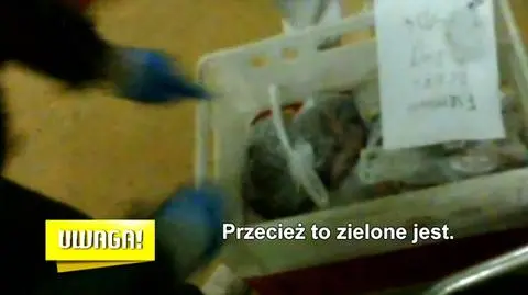 Spleśniałe mięso nie było problemem