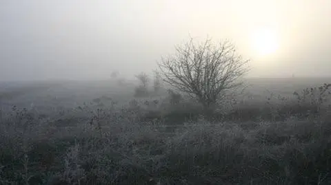 Odwilż plus mgły. Uwaga na drogach!