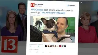 Właściciel Simby był bardzo wdzięczny załodze samolotu