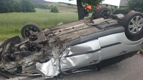 Kierowca dachował przez szerszenia, który wleciał do auta przez okno