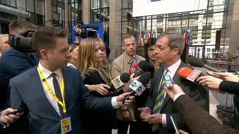 Nigel Farage o tym, czego oczekuje po unijnym szczycie w sprawie brexitu 
