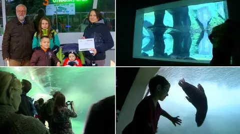 Stutysięczny gość w Afrykarium. "Jest satysfakcja z takiej popularności"