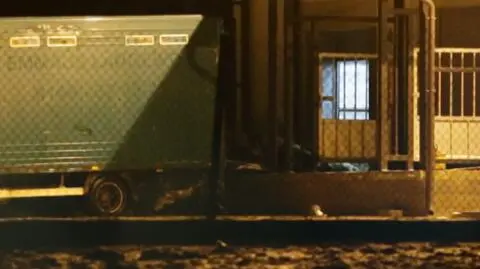 Mięso padłych krów odkryto w Małopolsce