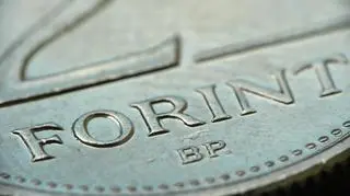 Czy zadłużenie w obcej walucie zostanie zamienione na forinty? 