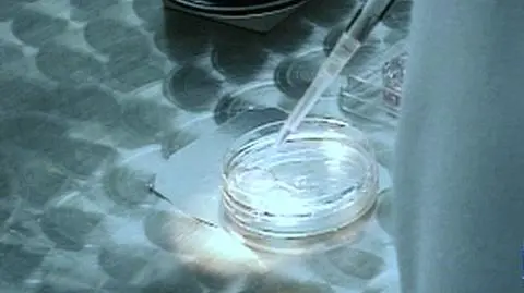 "Kilka słów księdza o in vitro niefortunnych"