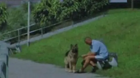 Przypadkowy bohater billboardu