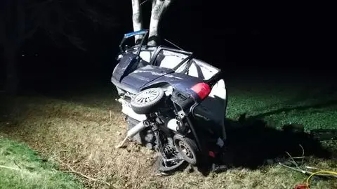 Opolszczyzna: auto uderzyło w drzewo. Trzy osoby nie żyją