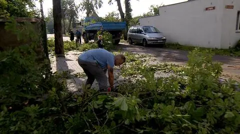 Drzewa na autach, zniszczony Orlik. Gniezno  liczy straty po nawałnicy