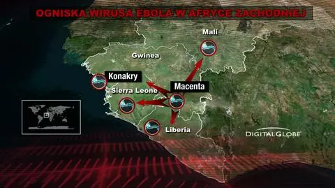 Czy grozi nam pandemia na miarę dżumy?