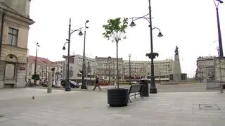 Tylko doniczka kosztowała kilka tysięcy złotych