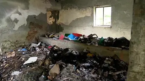 Court files and other important documents were lying around in an old, abandoned building