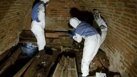 Kraków. Archeolodzy weszli do krypt u Franciszkanów