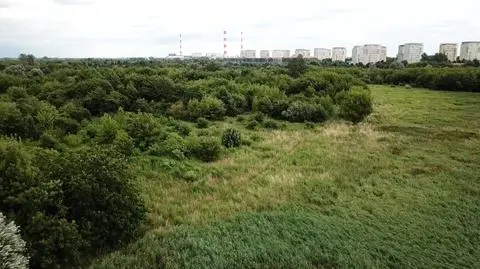 Warszawscy radni zezwolili na zabudowę okolicy Jeziorka Czerniakowskiego