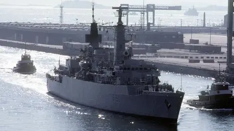 Nieznany epizod wojny o Falklandy. Pomylił wieloryba z okrętem podwodnym
