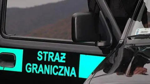 Fałszywe wizy. Przekraczanie granicy z fałszywymi wizami