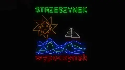 Taki neon można podziwiać na poznańskim Strzeszynku