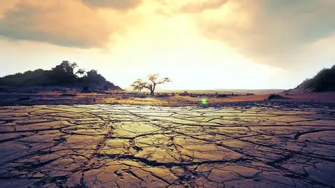 Parlament Europejski ogłasza globalny kryzys klimatyczny