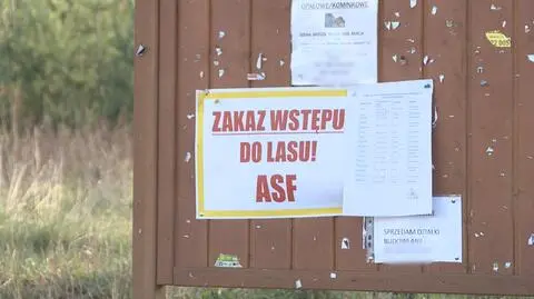 W Zielonej Górze zakazano wstępu do lasów