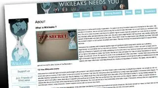 Wikileaks nie dostarczy więcej depesz?