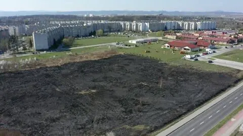Ogień dotarł pod samo ogrodzenia żłobka