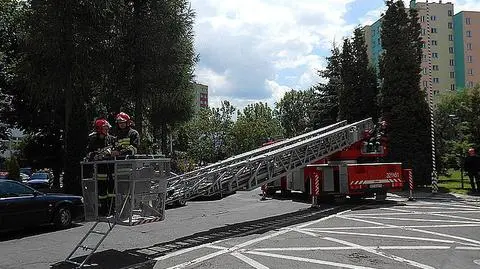 Akcja w rzeszowskiej komendzie policji. Strażacy ratowali cennego pisklaka