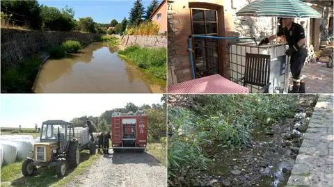 Susza na Dolnym Śląsku. Ujęcia wysychają, rolnicy liczą straty