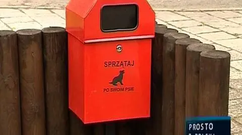 Psy wolą trawniczki