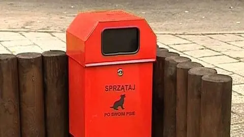 Warszawa stawia toalety dla psów