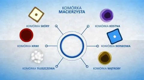 Komórki nadziei