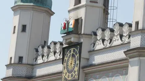 Koziołki w koszulkach reprezentacji Włoch i Irlandii