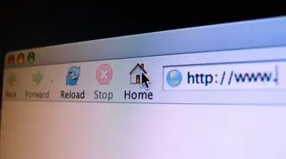 Krajem, gdzie internet działa najlepiej, jest Szwecja