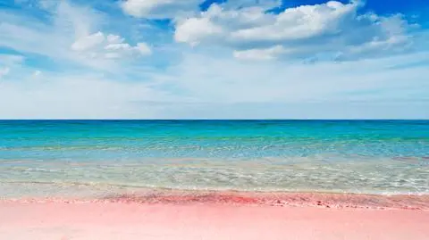 Różowa plaża. Turystka oddała piasek